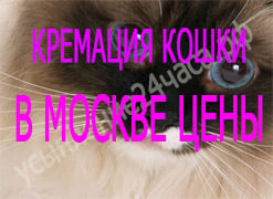 Кремация кошки в Москве цены
