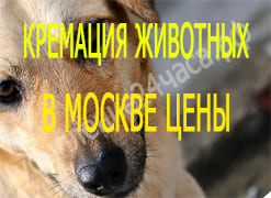 Кремация животных в Москве цены
