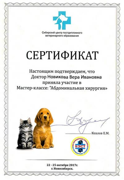 сертификат новикова