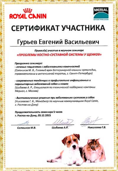 сертификат гурьеву