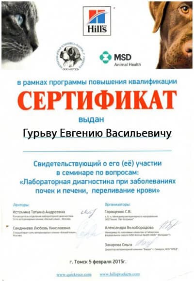 сертификат гурьеву евгению