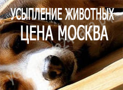 Усыпление животных цена Москва